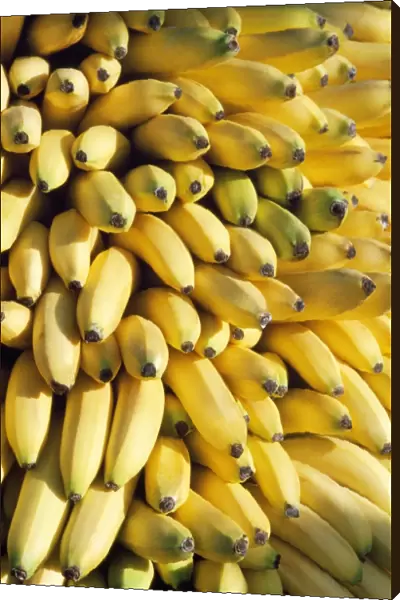 Bananas - for sale in Chania Market - Crete