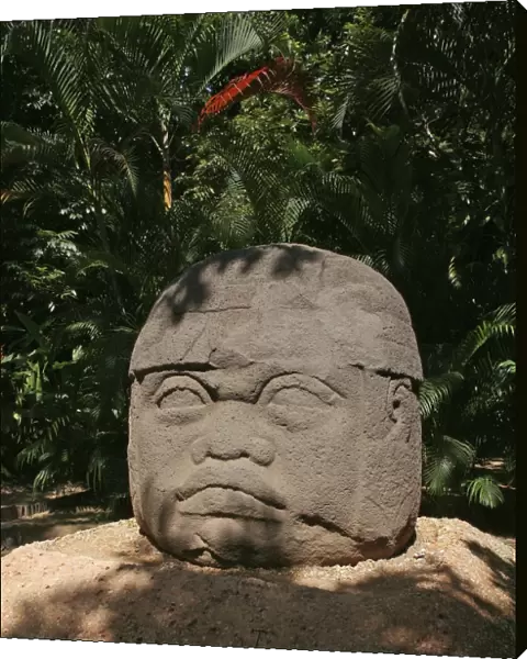Olmec Statue - Mexico