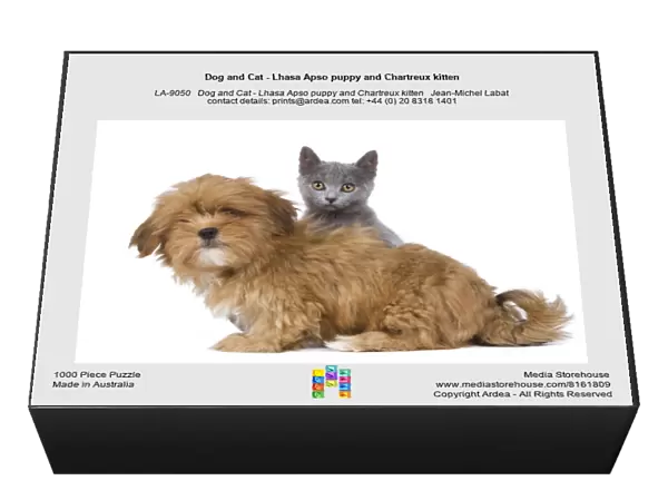 Dog and Cat - Lhasa Apso puppy and Chartreux kitten