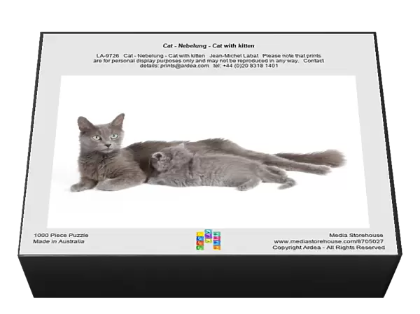 Cat - Nebelung - Cat with kitten