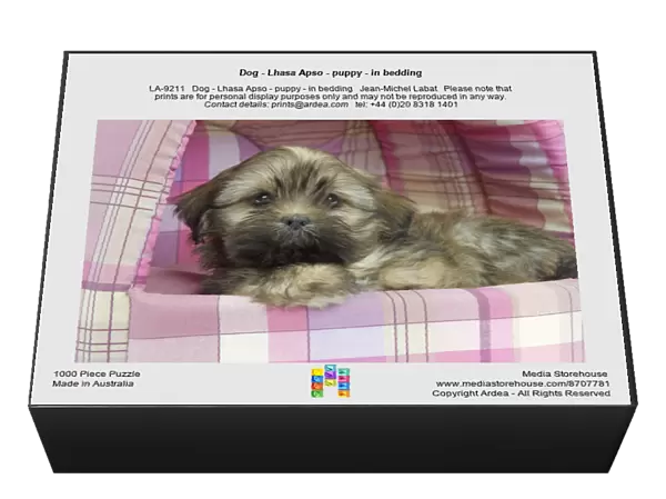 Dog - Lhasa Apso - puppy - in bedding