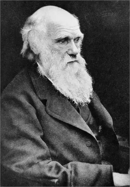 Portrait of Charles Darwin, British naturalist