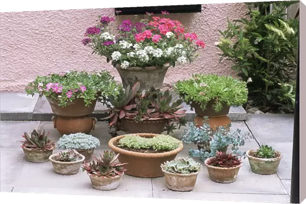 Garden patio display