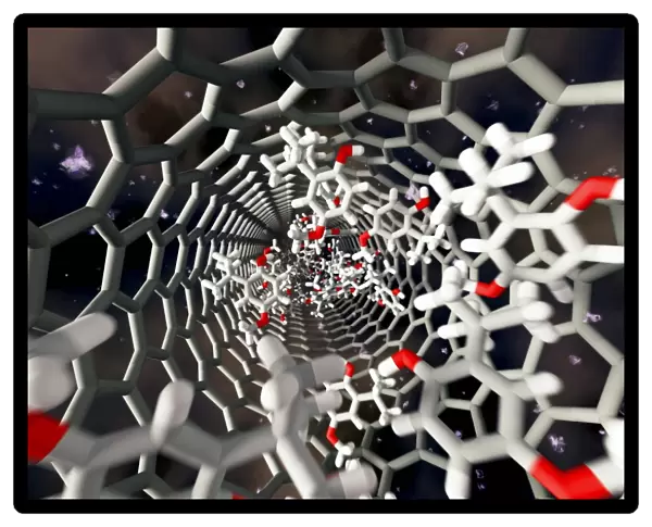 Nanotube drug delivery, artwork