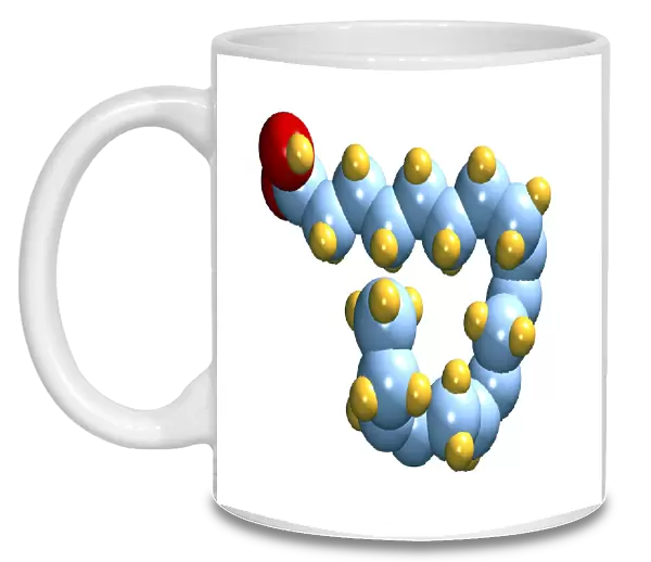 Alpha-linolenic acid, computer model