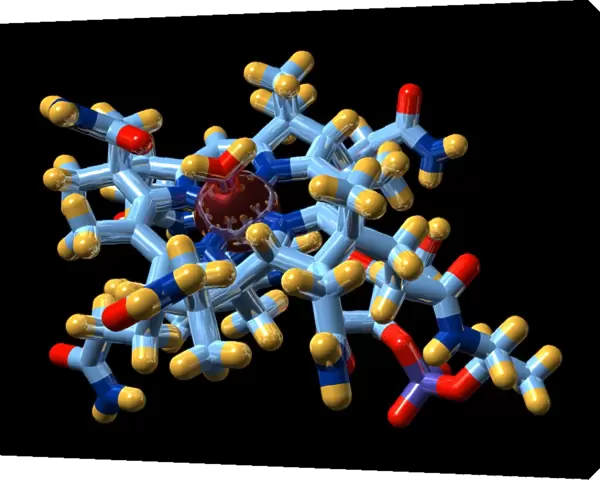 Vitamin B12, molecular model