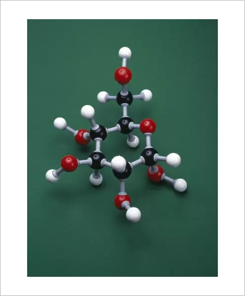 Glucose isomer model