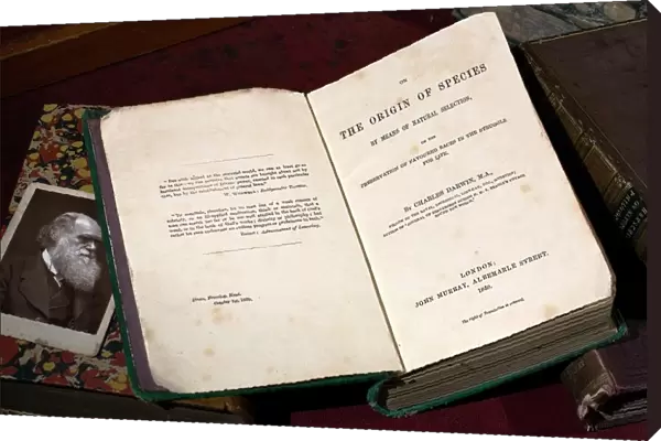 1859 First Edition Origin of Species