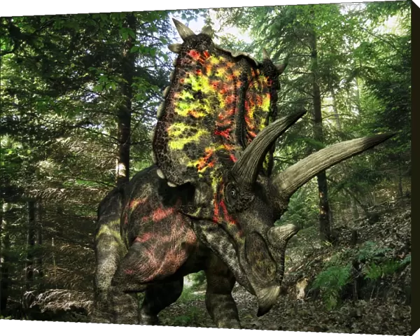 Pentaceratops dinosaur, artwork