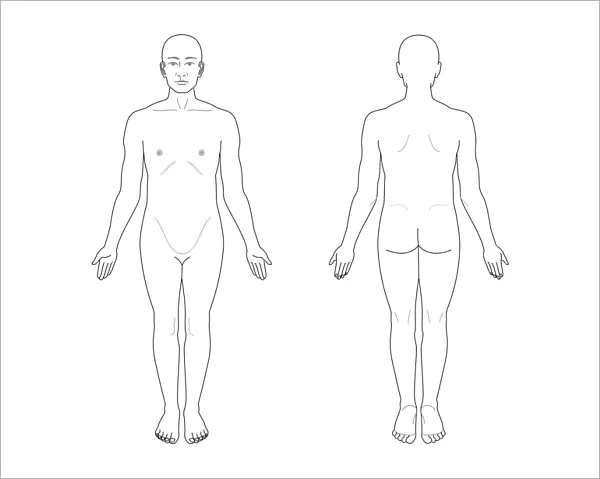 Anatomical position, artwork