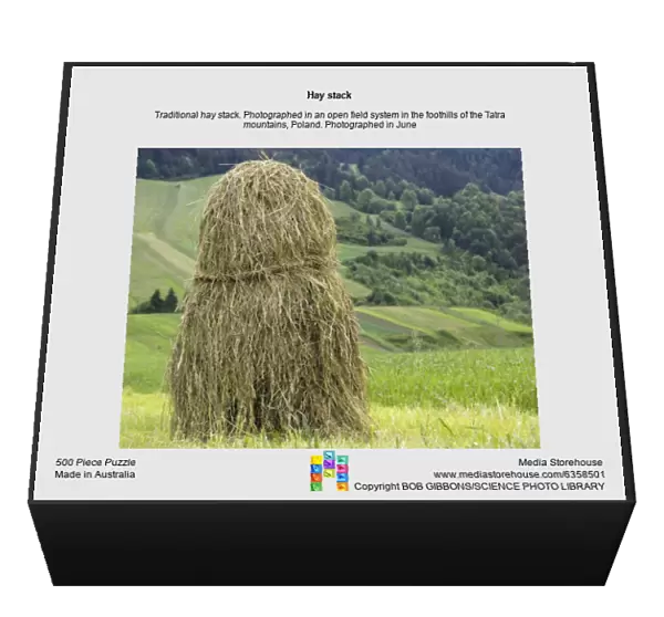 Hay stack. Traditional hay stack. Photographed in an open field system