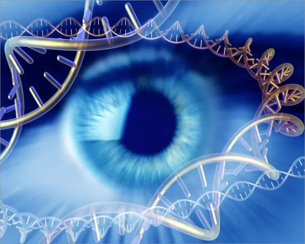 Genetics research, conceptual image