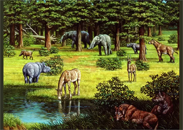 Prehistoric wildlife of the Miocene era