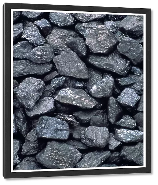 Lumps of high-grade anthracite coal