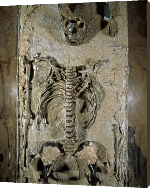 Fossilised skeleton of Homo erectus boy from Kenya