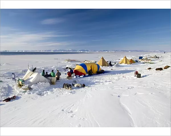 Seal hunting base camp, Greenland