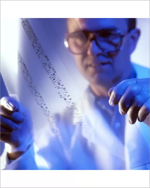 Male technician examines DNA fingerprints