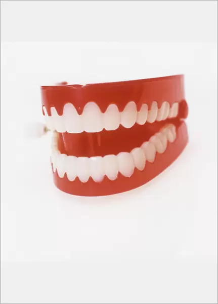 Toy teeth