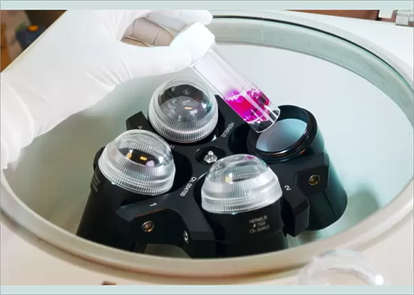 Cell culture research, centrifuge