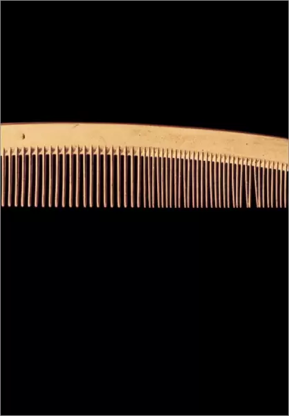 Comb, coloured negative image