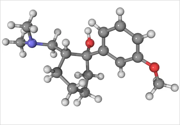 Tramadol analgesic molecule
