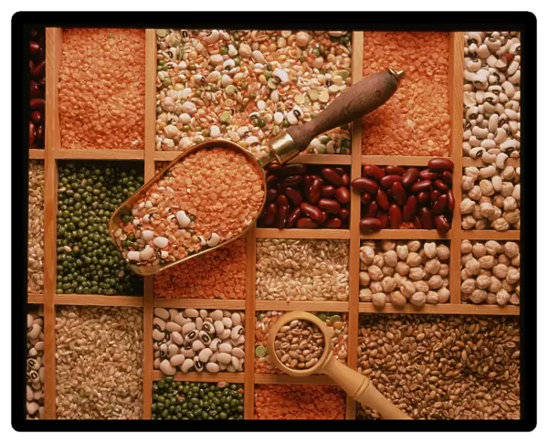 Store of various grains and pulses
