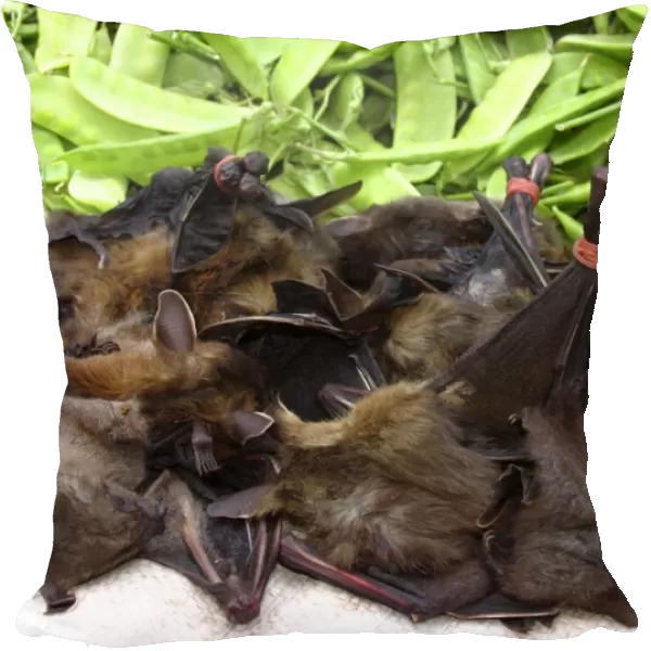 Bats on sale at a market