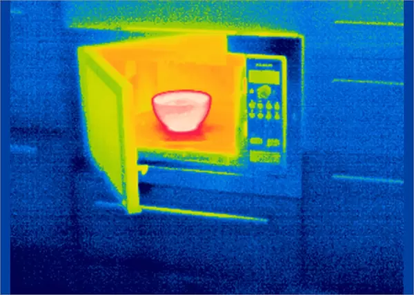 Microwave oven, thermogram