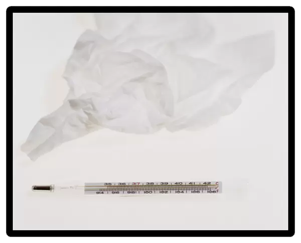 Tissue and thermometer