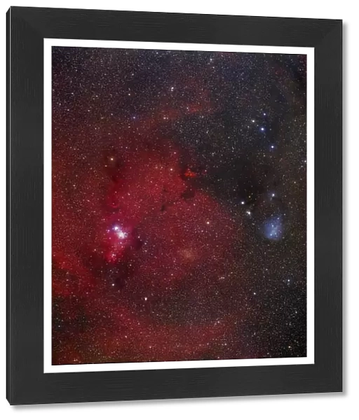 NGC 2264 nebulae