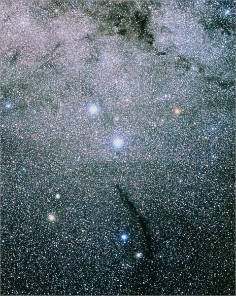 Starfield in the constellation of Musca