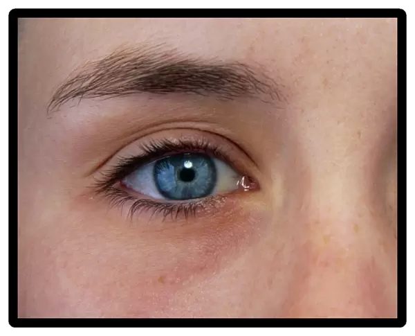Close-up of a womans blue eyes