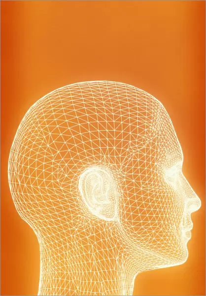 Womans head, computer artwork