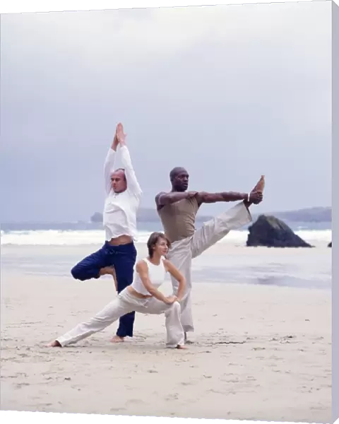 Capoeira and yoga