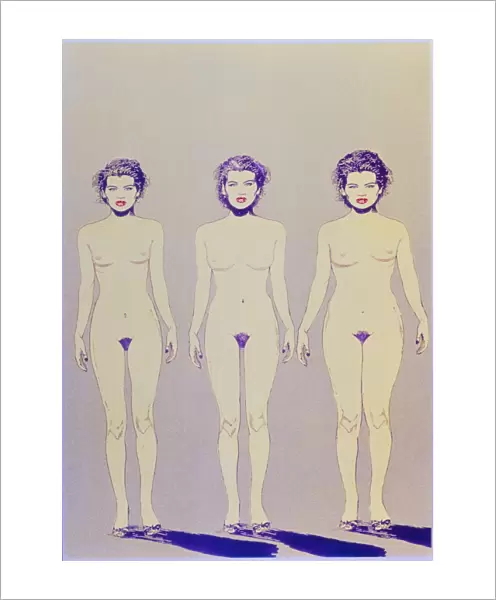 Illustration of 3 body shapes of women
