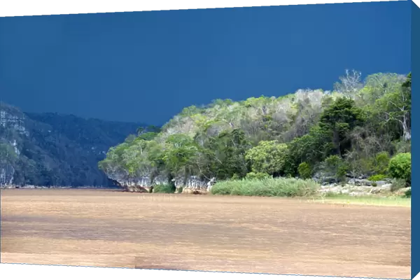 Manambolo River, Madagascar C013  /  7032