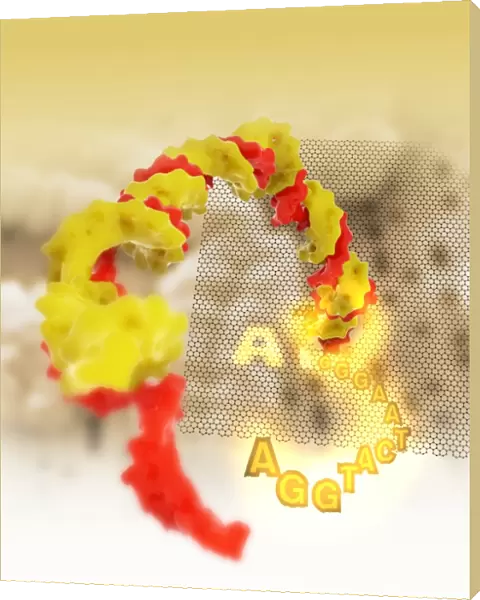 Nanopore DNA sequencing, conceptual image C013  /  8901