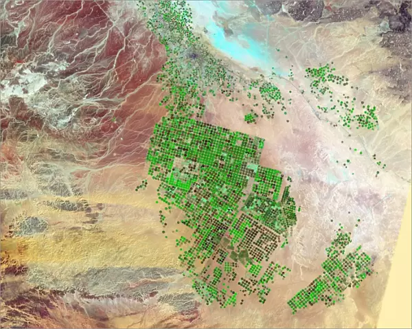 Saudi Arabia agriculture, 2012