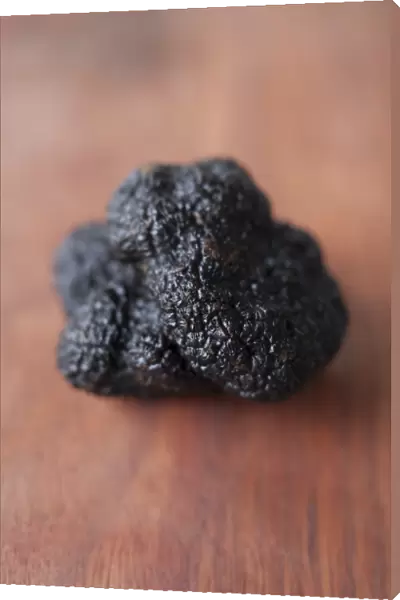 Black perigord truffle C016  /  6638