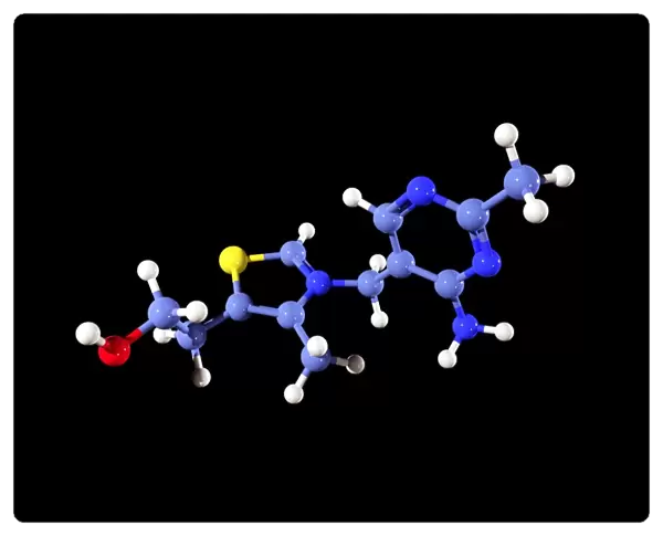 Vitamin B1 molecule C016  /  8275