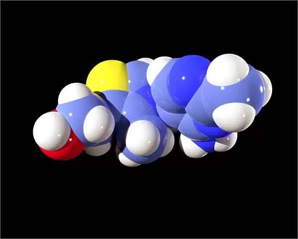 Vitamin B1 molecule C016  /  8276