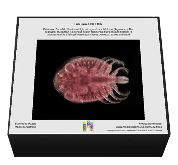 Fish louse C014  /  4837