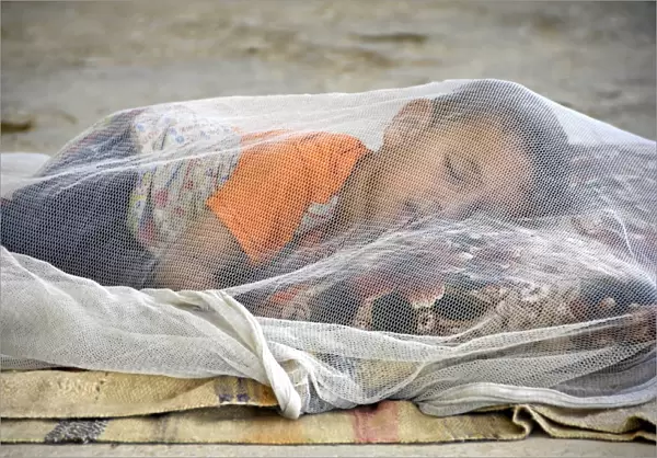Child under mosqito net, Iraq