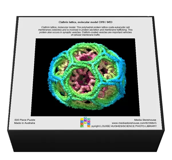 Clathrin lattice, molecular model C018  /  0453