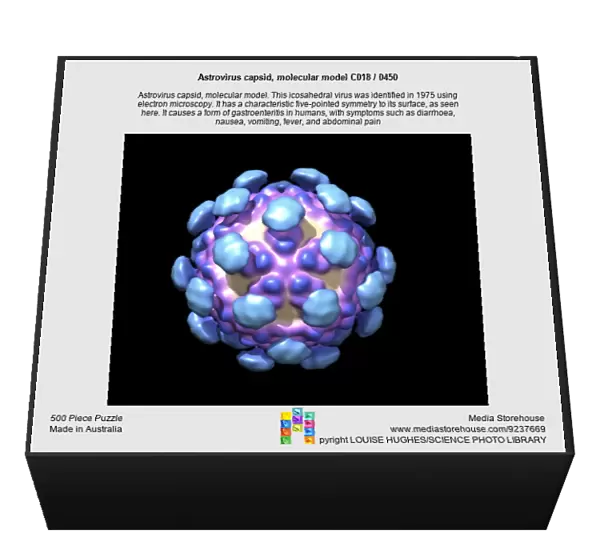 Astrovirus capsid, molecular model C018  /  0450