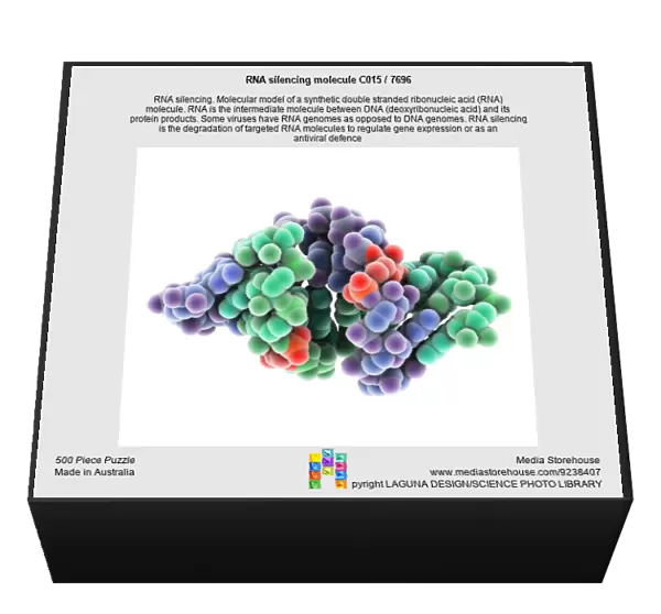 RNA silencing molecule C015  /  7696