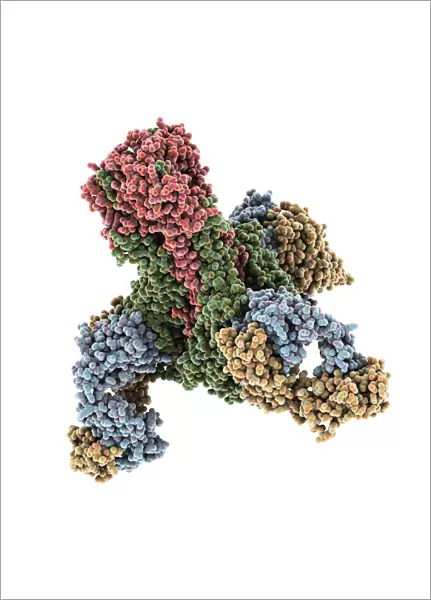 Haemagglutinin viral surface protein C015  /  7123