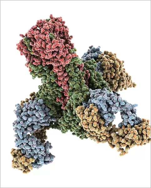 Haemagglutinin viral surface protein C015  /  7123