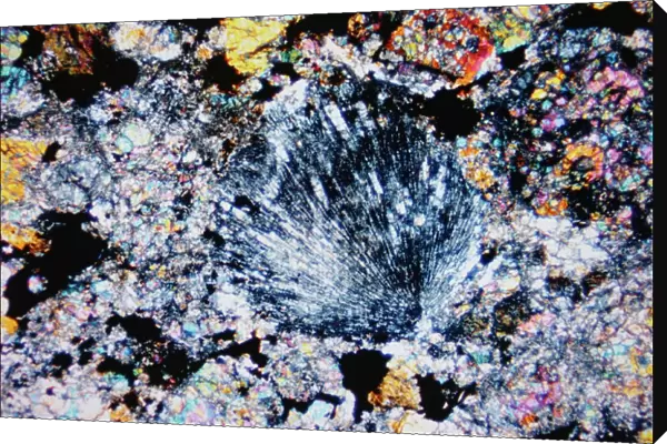 Chebarkul meteorite, light micrograph C015  /  2863