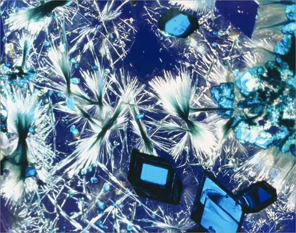 Copper sulphate crystals light micrograph